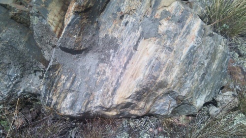 Гигантские зелёные валуны для ландшафтного дизайна весом более 5 тонн купить в Карпинске