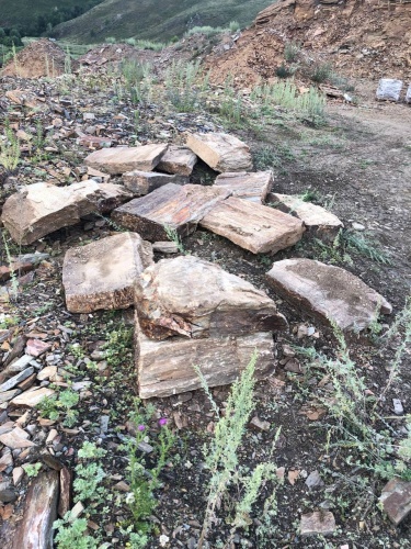 Пошаговая дорожка из плит златолит кора дерева купить в Карпинске